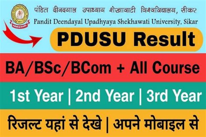 PDUSU Result 2024, Shekhawati University BA BSc BCom Result