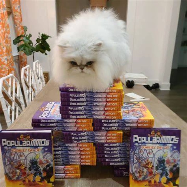 PopularMMOs with his cat Cloud PopularMMOs with his cat Cloud